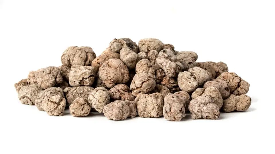 Budowa Domów Białogóra - MyQu.be